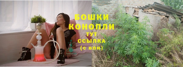 Альфа ПВП Богородицк