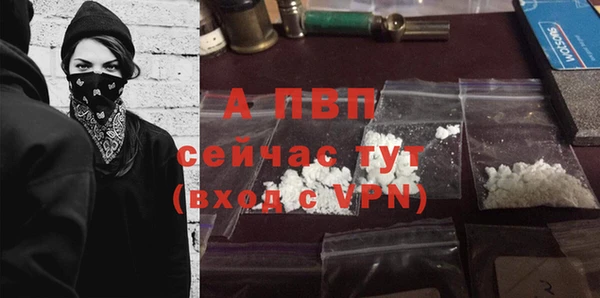 таблы Богданович